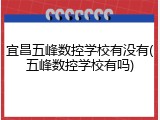 宜昌五峰数控学校有没有(五峰数控学校有吗)