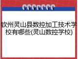 钦州灵山县数控加工技术学校有哪些(灵山数控学校)