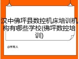 汉中佛坪县数控机床培训机构有哪些学校(佛坪数控培训)