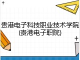 贵港电子科技职业技术学院(贵港电子职院)