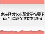 枣庄峄城农业职业学校要求高吗(峄城农校要求高吗)