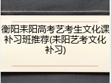 衡阳耒阳高考艺考生文化课补习班推荐(耒阳艺考文化补习)