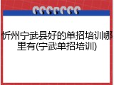 忻州宁武县好的单招培训哪里有(宁武单招培训)