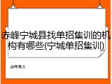 赤峰宁城县找单招集训的机构有哪些(宁城单招集训)
