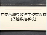 广安岳池县数控学校有没有(岳池数控学校)