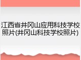 江西省井冈山应用科技学校照片(井冈山科技学校照片)