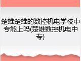 楚雄楚雄的数控机电学校中专能上吗(楚雄数控机电中专)