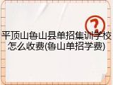 平顶山鲁山县单招集训学校怎么收费(鲁山单招学费)