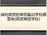 潍坊高密的单招集训学校哪里有(高密单招学校)