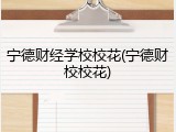 宁德财经学校校花(宁德财校校花)