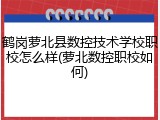 鹤岗萝北县数控技术学校职校怎么样(萝北数控职校如何)