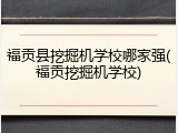 福贡县挖掘机学校哪家强(福贡挖掘机学校)