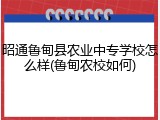 昭通鲁甸县农业中专学校怎么样(鲁甸农校如何)