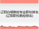 辽阳白塔数控专业职校排名(辽阳职校数控排名)
