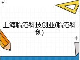 上海临港科技创业(临港科创)