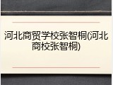 河北商贸学校张智桐(河北商校张智桐)