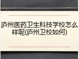 庐州医药卫生科技学校怎么样呢(庐州卫校如何)
