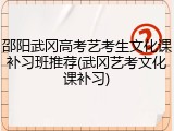 邵阳武冈高考艺考生文化课补习班推荐(武冈艺考文化课补习)