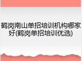 鹤岗南山单招培训机构哪家好(鹤岗单招培训优选)