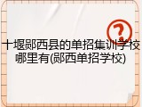 十堰郧西县的单招集训学校哪里有(郧西单招学校)