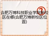 合肥万博科技职业学院新校区在哪(合肥万博新校区位置)