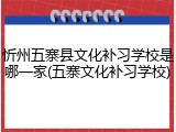 忻州五寨县文化补习学校是哪一家(五寨文化补习学校)