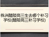 株洲醴陵高三生去哪个补习学校(醴陵高三补习学校)