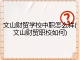 文山财贸学校中职怎么样(文山财贸职校如何)