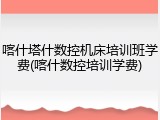 喀什塔什数控机床培训班学费(喀什数控培训学费)