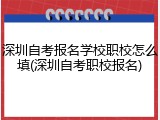 深圳自考报名学校职校怎么填(深圳自考职校报名)