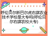 呼伦贝尔新巴尔虎右旗农业技术学校是大专吗(呼伦贝尔右旗农校大专)