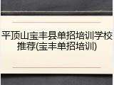 平顶山宝丰县单招培训学校推荐(宝丰单招培训)
