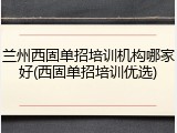 兰州西固单招培训机构哪家好(西固单招培训优选)