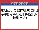 咸阳武功县数控机床培训班学费多少钱(咸阳数控机床培训学费)