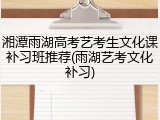 湘潭雨湖高考艺考生文化课补习班推荐(雨湖艺考文化补习)