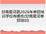 甘南夏河县2026年单招培训学校有哪些(甘南夏河单招培训)