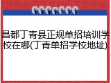 昌都丁青县正规单招培训学校在哪(丁青单招学校地址)