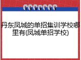 丹东凤城的单招集训学校哪里有(凤城单招学校)