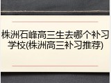 株洲石峰高三生去哪个补习学校(株洲高三补习推荐)