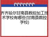 齐齐哈尔甘南县数控加工技术学校有哪些(甘南县数控学校)