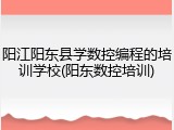 阳江阳东县学数控编程的培训学校(阳东数控培训)