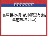 临漳县挖机培训哪里有(临漳挖机培训点)