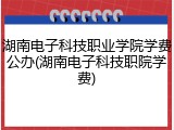 湖南电子科技职业学院学费公办(湖南电子科技职院学费)