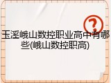 玉溪峨山数控职业高中有哪些(峨山数控职高)