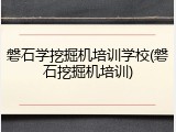 磐石学挖掘机培训学校(磐石挖掘机培训)