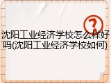 沈阳工业经济学校怎么样好吗(沈阳工业经济学校如何)