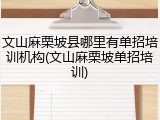 文山麻栗坡县哪里有单招培训机构(文山麻栗坡单招培训)