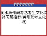 衡水冀州高考艺考生文化课补习班推荐(冀州艺考文化班)