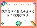 阳新县学挖掘机培训学校(阳新挖掘机培训)