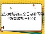武汉黄陂初三全日制补习学校(黄陂初三补习)